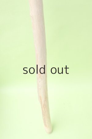 画像2: 棒流木・長尺