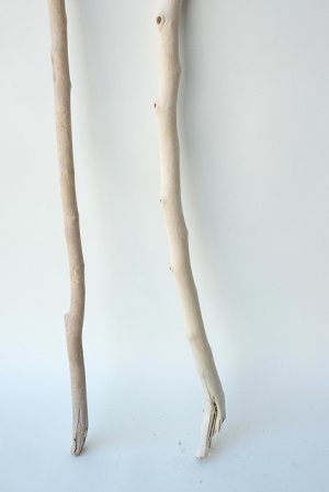 画像2: 枝流木セット