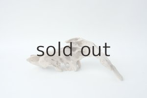 画像3: 変形流木