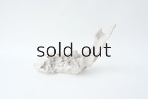 画像2: 変形流木