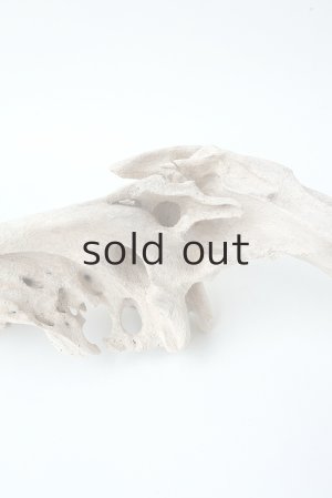 画像4: 変形流木