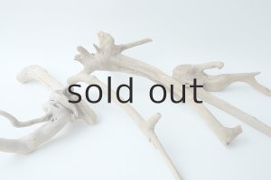 画像6: 流木根セット