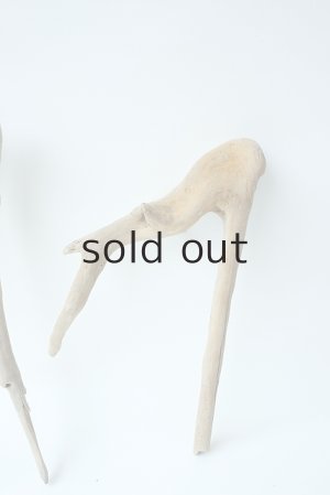 画像4: 流木根セット