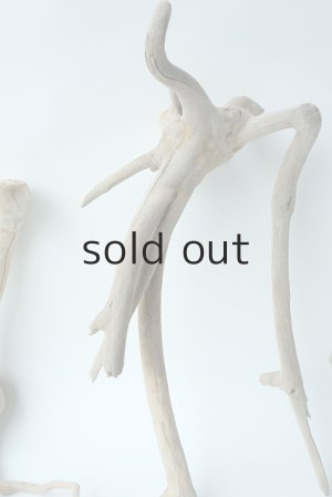 画像3: 流木根セット