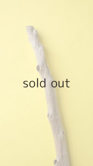 画像5: 幹流木・長尺