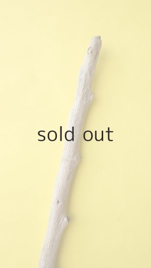 画像6: 幹流木・長尺