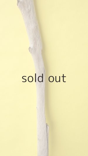 画像4: 幹流木・長尺