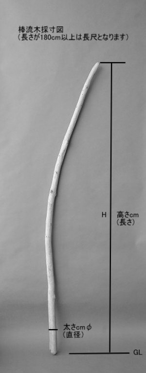 画像3: 棒流木・長尺