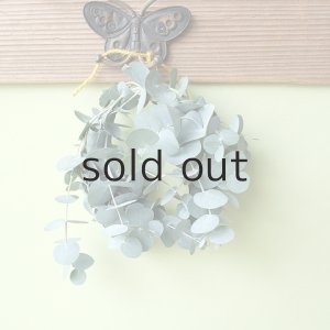 画像4: Dry plants for decor ユーカリミニリース（銀丸葉）