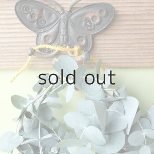 画像10: Dry plants for decor ユーカリミニリース（銀丸葉）