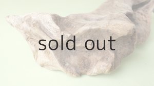 画像5: 変形流木（中型）