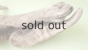 画像4: 変形流木（中型）