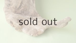 画像2: 変形流木（中型）