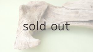 画像7: 変形流木（中型）