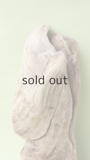 画像3: 変形流木（中型）