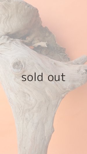 画像3: 大型　変形