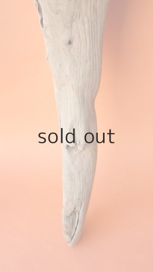 画像6: 大型　変形