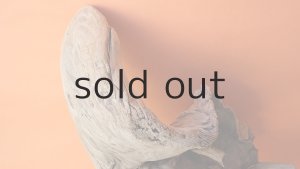 画像5: 大型　変形