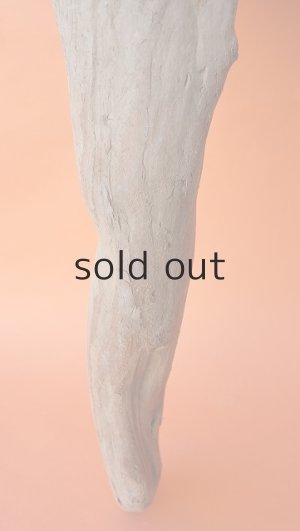 画像2: 大型　変形