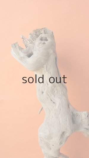 画像10: 大型 根