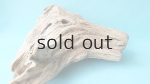 画像6: 流木根（中型）