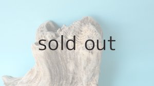 画像3: 流木根（中型）