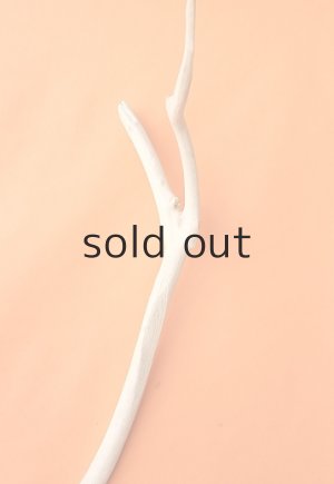 画像5: 幹流木・長尺