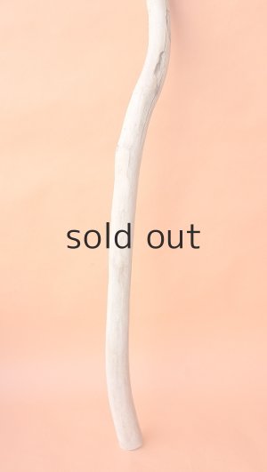 画像2: 幹流木・長尺