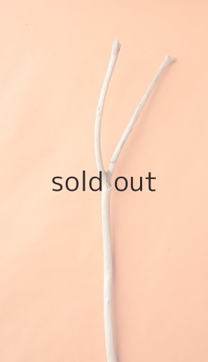 画像4: 幹流木・長尺