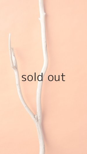 画像3: 幹流木・長尺