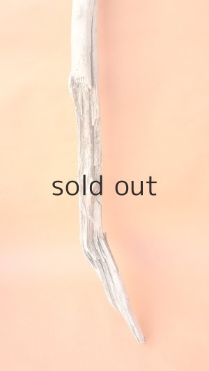 画像2: 幹流木・長尺