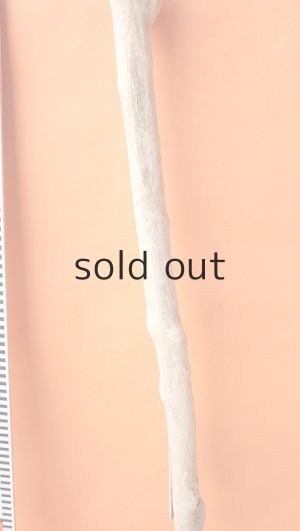 画像7: 幹流木・長尺