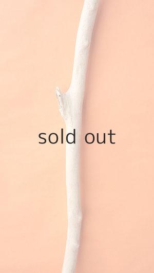 画像3: 幹流木・長尺