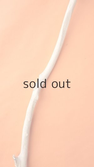 画像4: 幹流木・長尺