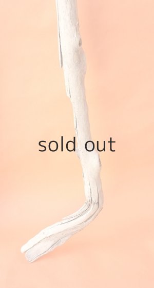 画像6: 幹流木・長尺