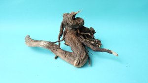 画像4: ミニ流木根