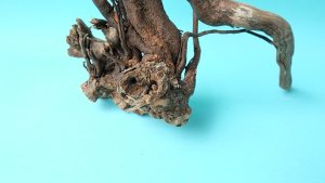 画像2: ミニ流木根