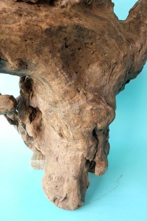 画像7: 変形流木（中型）