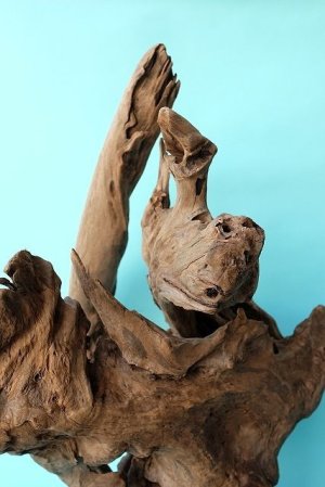 画像8: 変形流木（中型）
