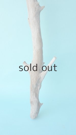 画像2: 小枝流木セット