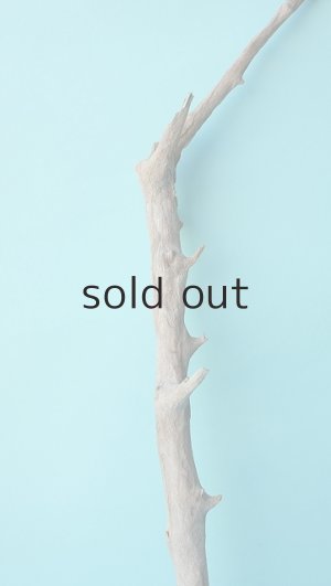 画像3: 小枝流木セット