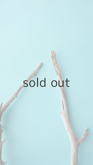 画像6: 小枝流木セット