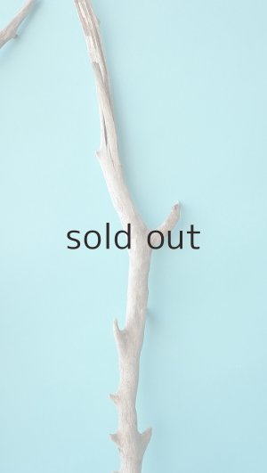 画像5: 小枝流木セット