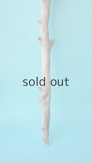 画像4: 小枝流木セット