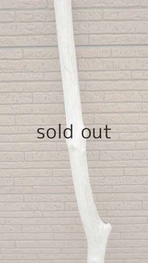 画像3: 幹流木・長尺