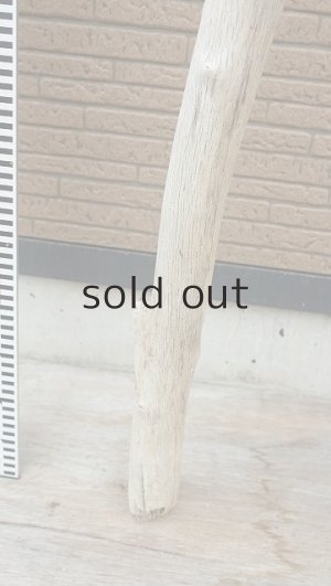 画像6: 幹流木・長尺