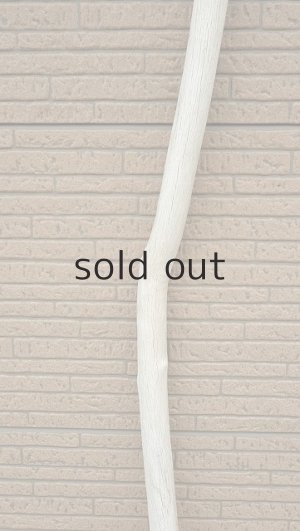 画像4: 幹流木・長尺