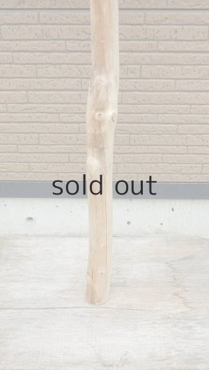 画像7: 幹流木・長尺