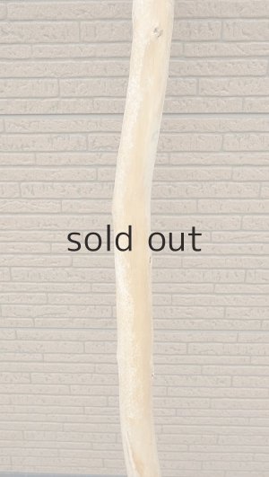 画像3: 幹流木・長尺