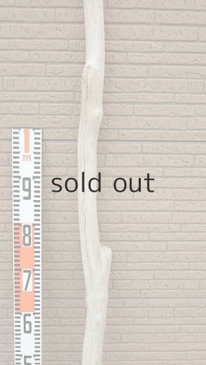 画像7: 幹流木・長尺